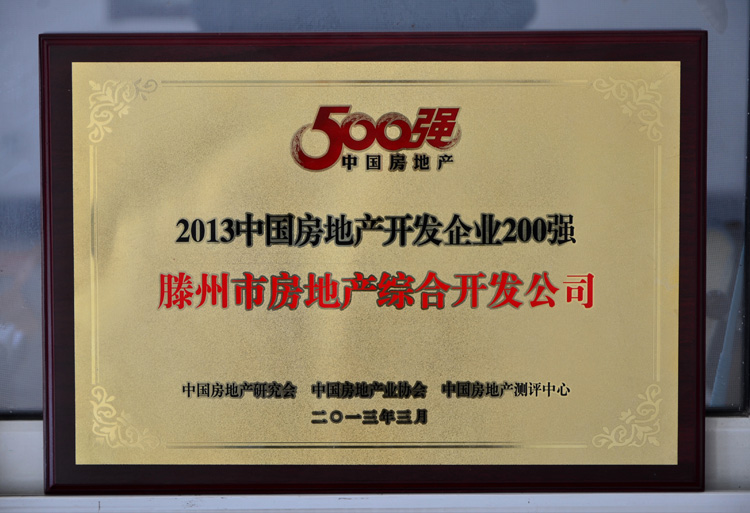 13-3-2013中國房地產(chǎn)開(kāi)發(fā)企業(yè)200強.jpg