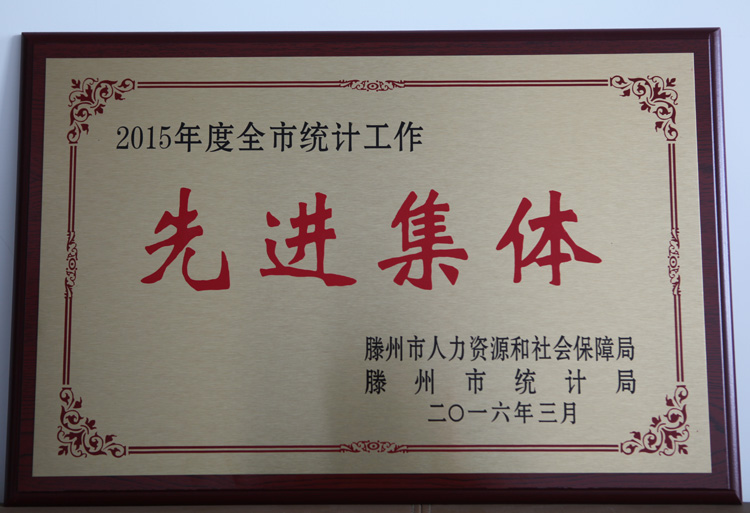 16-3-2015年度全市統計工作先進(jìn)集體.jpg
