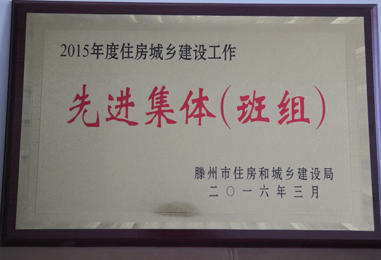 16-3-2015年度住房城鄉建設工作先進(jìn)集體（班組）.jpg