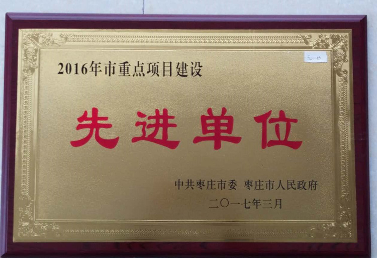 17-3-2016年度市重點(diǎn)項目建設先進(jìn)單位.jpg